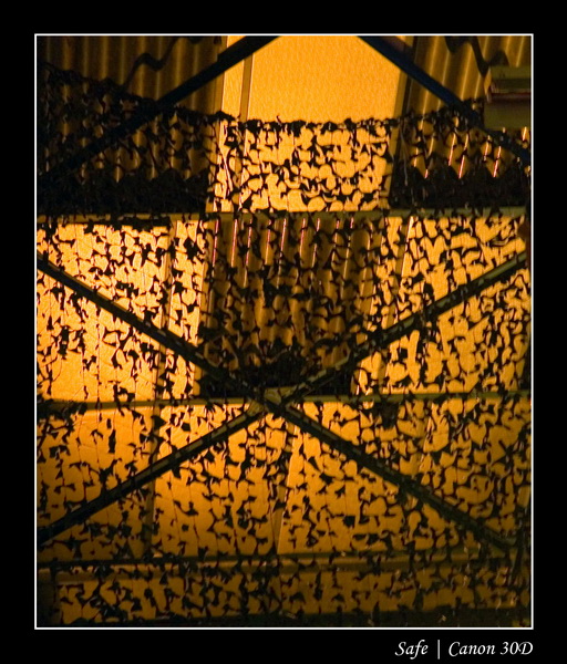 2006 - 11 - anniversaire tiwony - 007